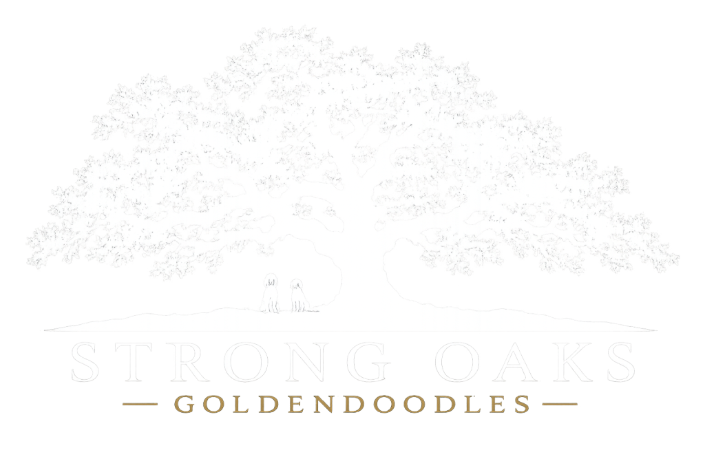 Strong Oaks Goldendoodles