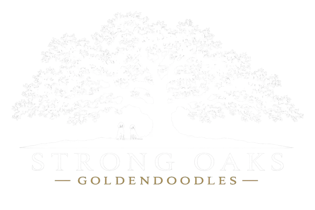 Strong Oaks Goldendoodles