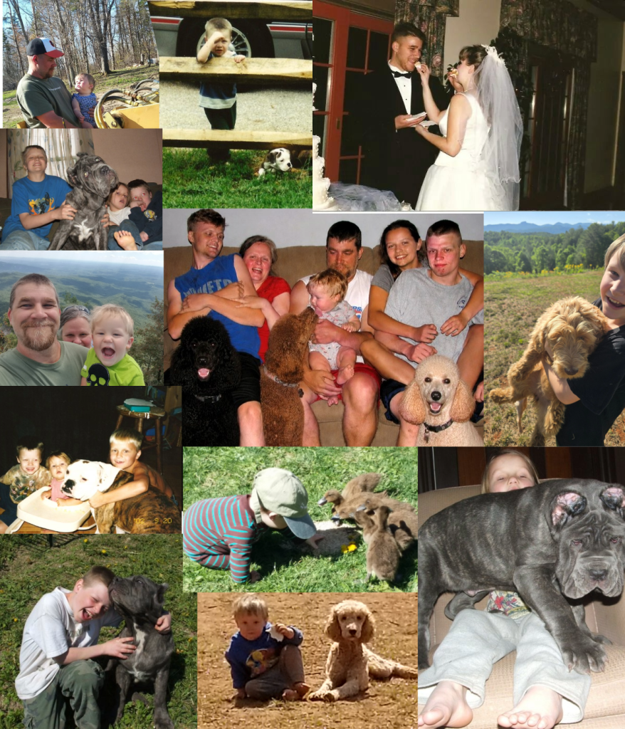 Joe and Sharon — Strong Oaks Goldendoodles