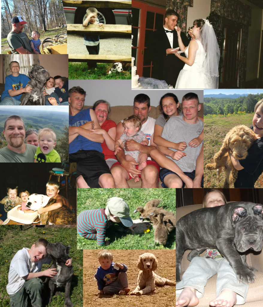 Joe and Sharon — Strong Oaks Goldendoodles
