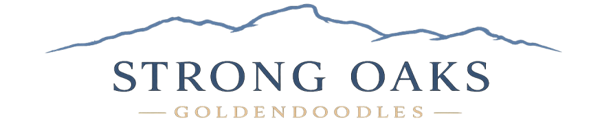 Strong Oaks Goldendoodles